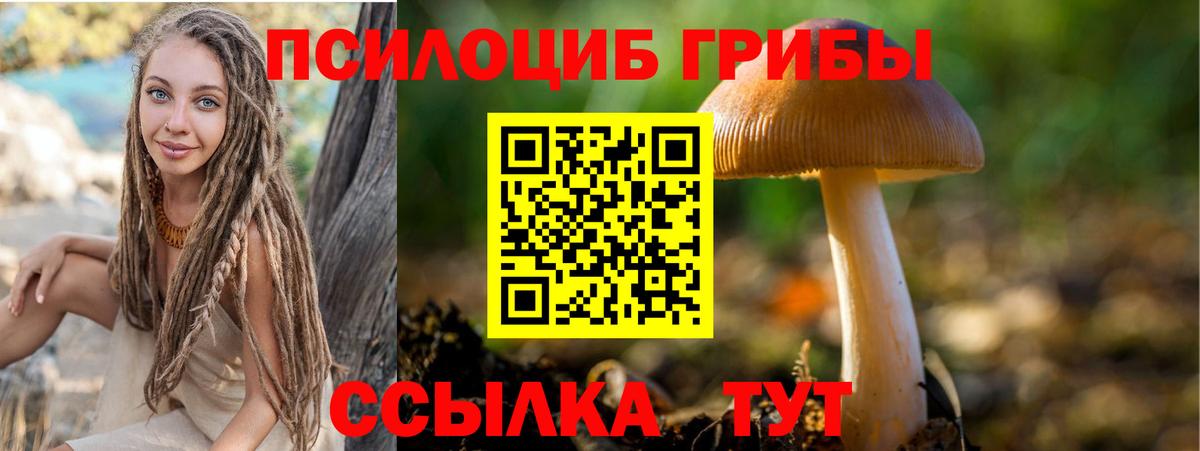 Псилоцибиновые грибы мухоморы Таганрог