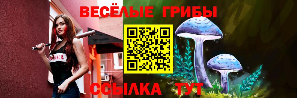 Таганрог  Галлюциногенные грибы прущие грибы  Вход с VPN 